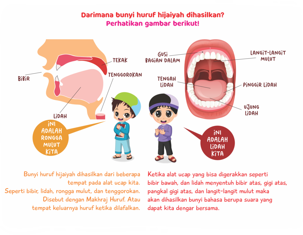 Gambar Makhraj Huruf Hijaiyah, agar belajar semakin mudah.